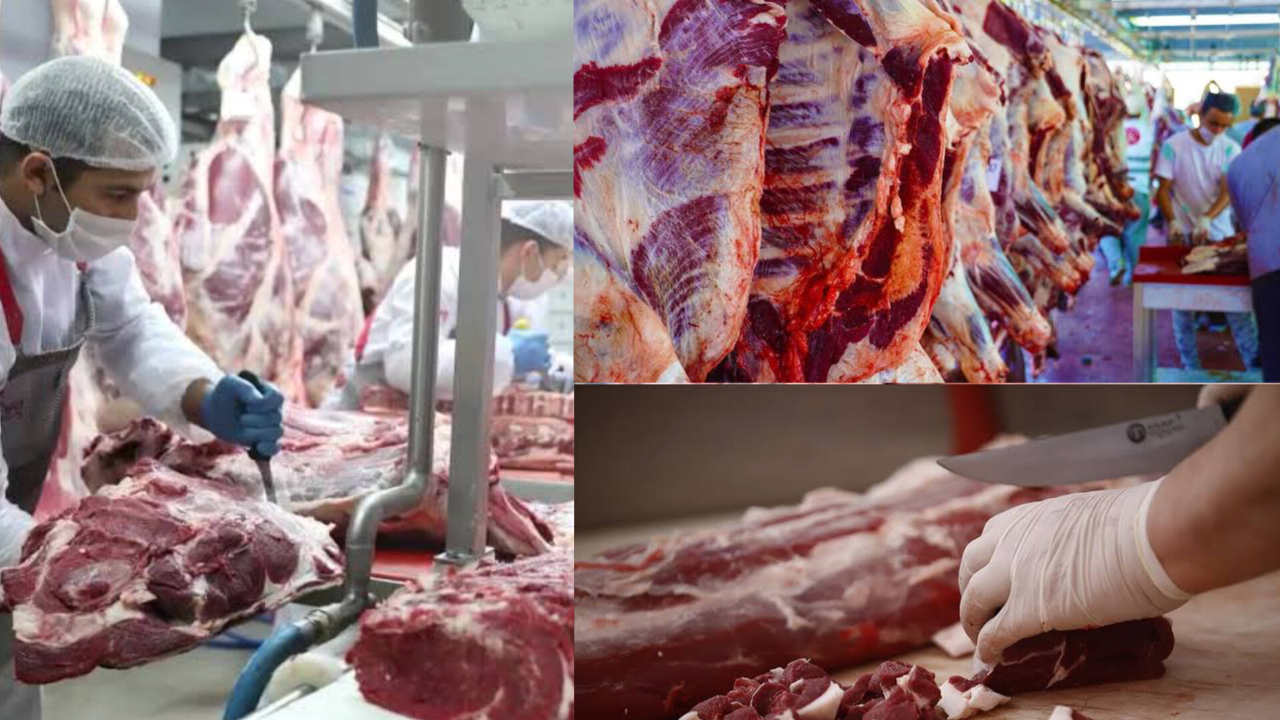 Ucuz Et Kuyruğunda Kriz! Lokantacılar ve Kasaplar Stokladı, Vatandaşa Et Kalmadı