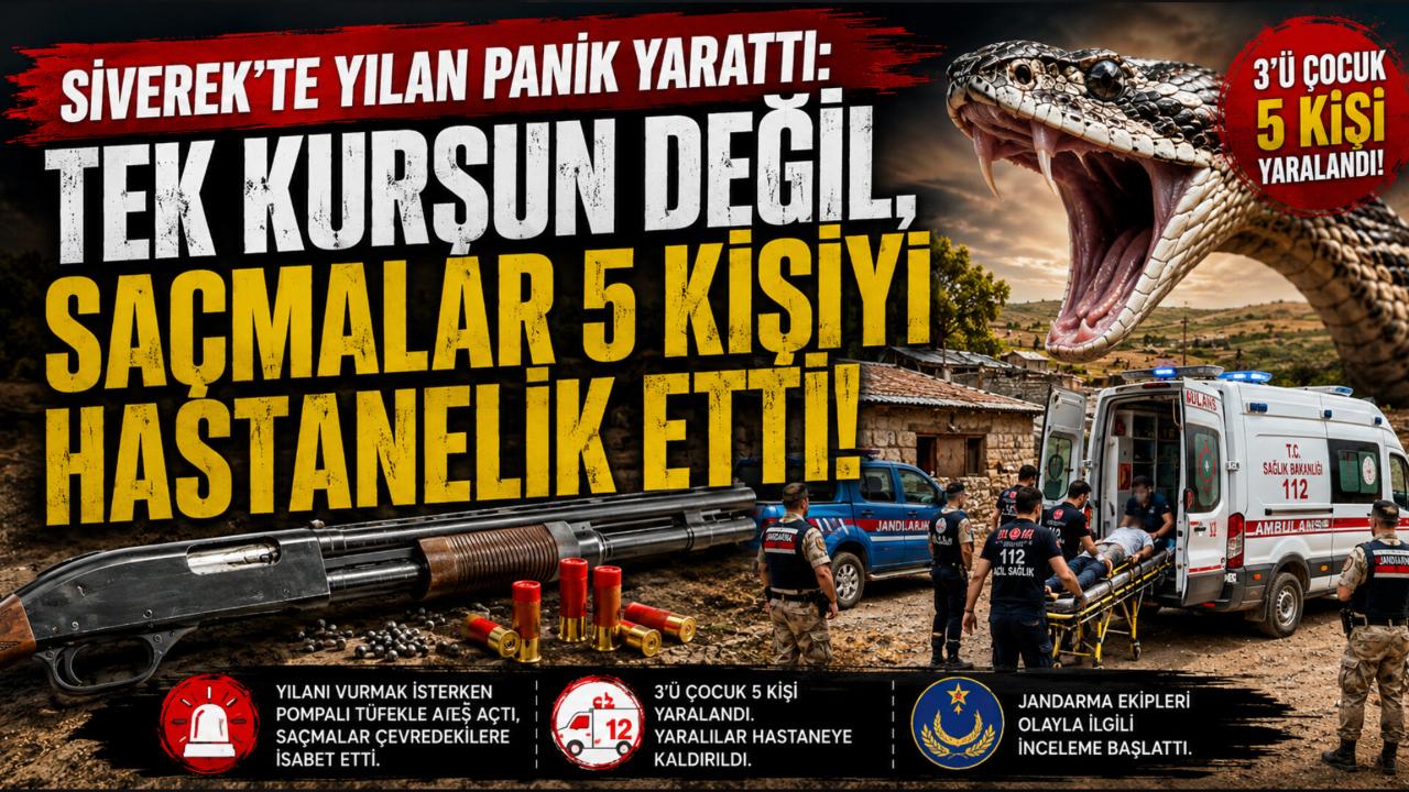 Siverek’te Yılan Panik Yarattı: Tek Kurşun Değil, Saçmalar 5 Kişiyi Hastanelik Etti