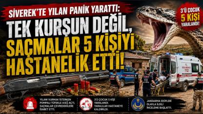 Siverek’te Yılan Panik Yarattı: Tek Kurşun Değil, Saçmalar 5 Kişiyi Hastanelik Etti